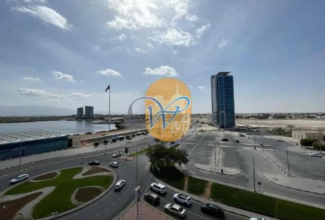 13777817 - Property Image 3