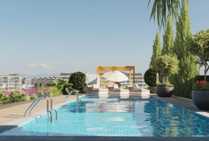 15731842 - Property Image 3