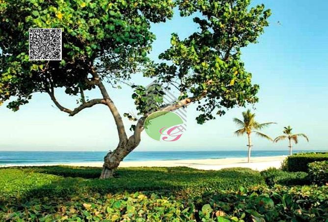 15963632 - Property Image 2