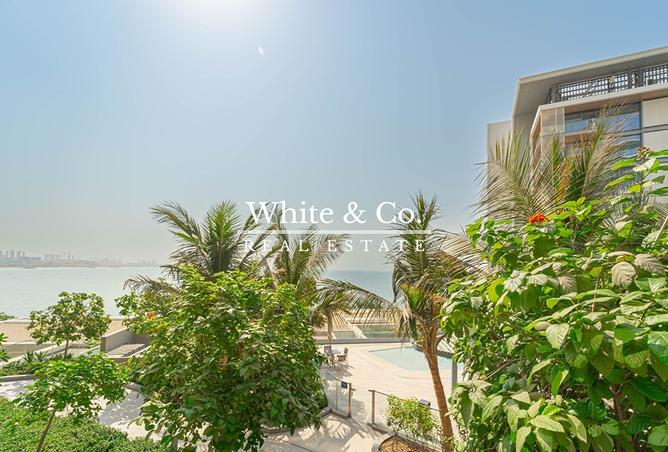 15587173 - صورة العقار 2