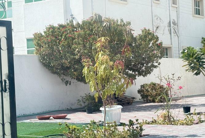 15260674 - الصورة الرئيسية للعقار