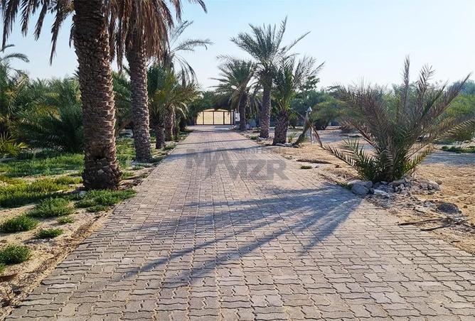 15856961 - صورة العقار 3