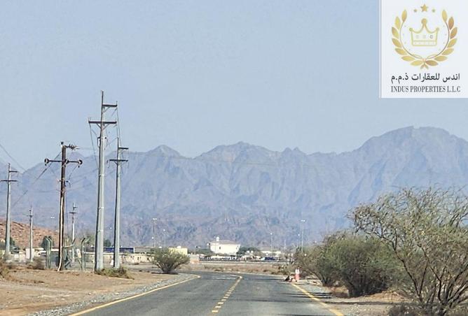 15414857 - Property Image 3