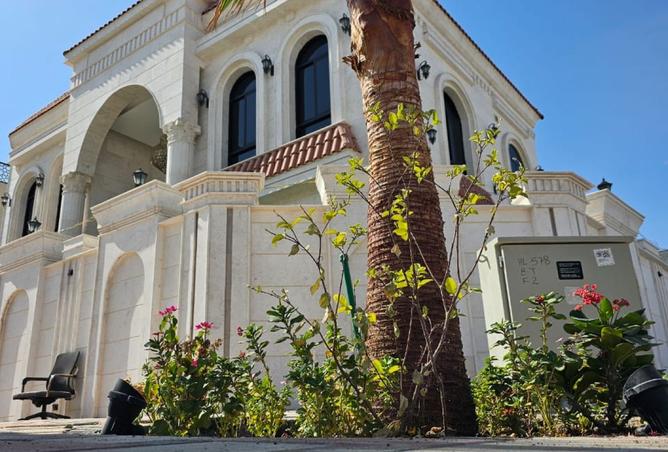 15634513 - Property Image 2