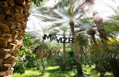 أرض - استوديو للبيع في الرحبة - المنيرة - شاطئ الراحة - أبوظبي