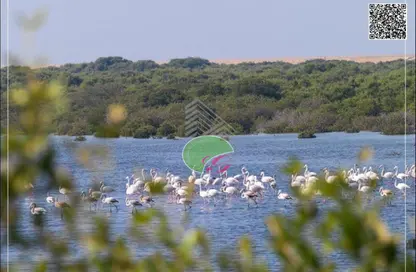 Land - Studio for sale in Creekside - Al Zorah - Ajman