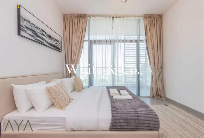 15571837 - Property Image 3