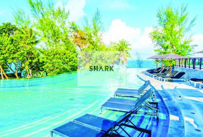 16094008 - صورة العقار 3