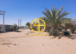 Farm for sale in Al Dhahrah - Al Ain