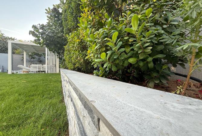 15883902 - صورة العقار 2