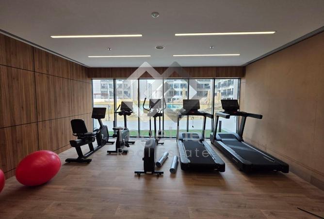 16087405 - Property Image 3