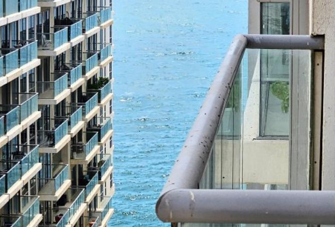 15972518 - الصورة الرئيسية للعقار