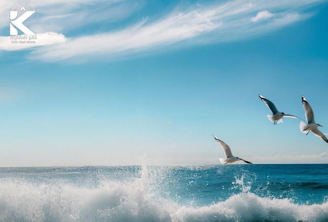 15666964 - Property Image 3