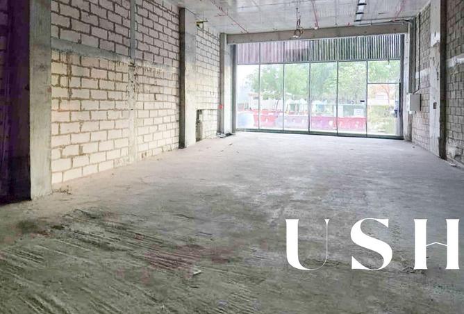 15571170 - Property Image 3