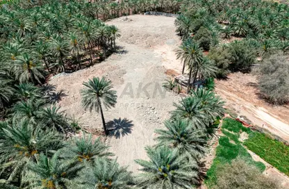 Land - Studio for sale in Qidfa - Fujairah