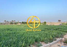 Farm for sale in Al Salamat - Al Ain