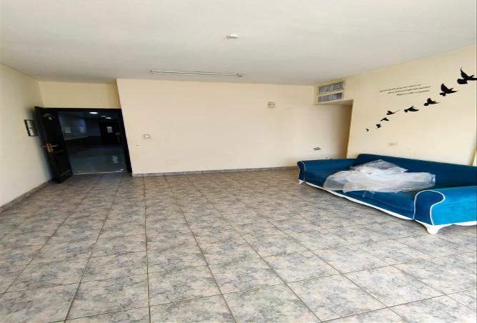 15248747 - Property Image 2