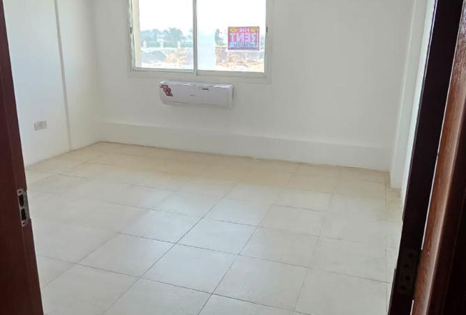 15519524 - صورة العقار 3