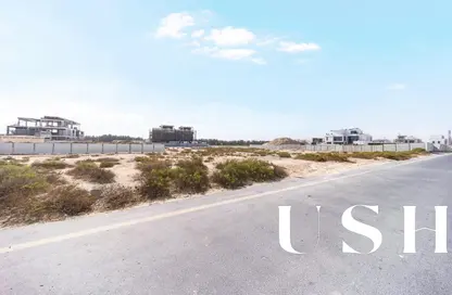 أرض - استوديو للبيع في ند الشبا جاردنز 1 - حدائق ند الشبا - ند الشبا - دبي أرض - استوديو للبيع في ند الشبا جاردنز 1 - حدائق ند الشبا - ند الشبا - دبي