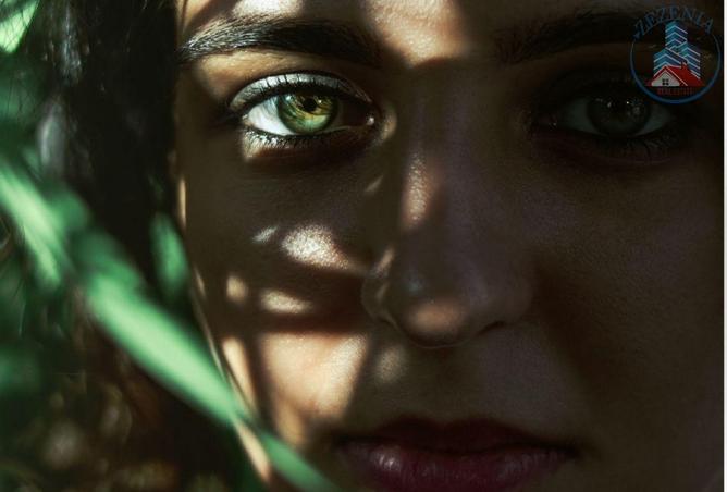 15502050 - صورة العقار 3