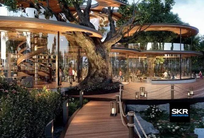 16088284 - Property Image 3