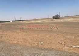 Garden image for: Land for sale in Manama - Ajman, Image 1