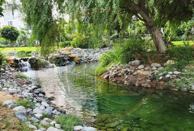 15746200 - صورة العقار 2