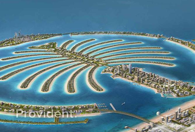 15772276 - Property Image 3