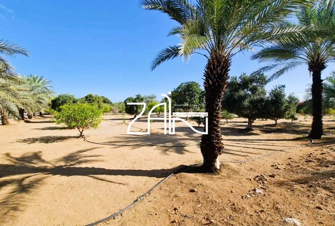 15990202 - Property Image 3