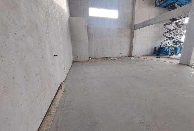 16005929 - Property Image 3