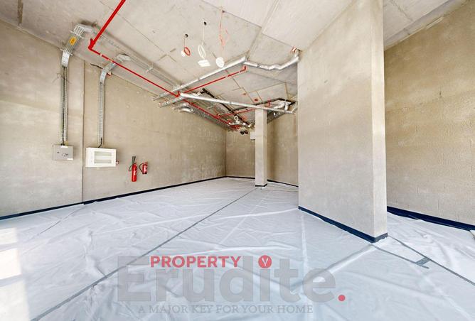 15976806 - Property Image 3