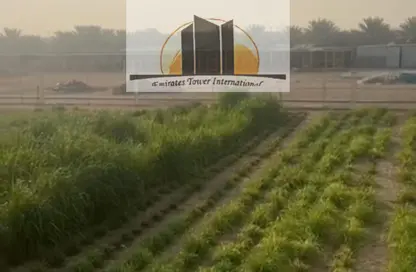 مزرعة - استوديو للبيع في الباهية - أبوظبي