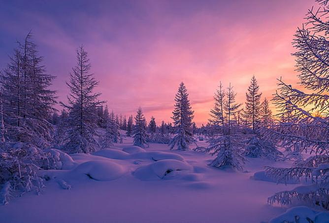 15640875 - الصورة الرئيسية للعقار