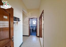 Hall / Corridor image for: Apartment - 3 bedrooms - 3 bathrooms for rent in Ugdat Al Ameriya - Al Jimi - Al Ain, Image 1