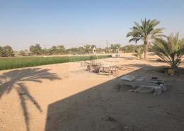 Farm for sale in Al Rahba - Abu Dhabi