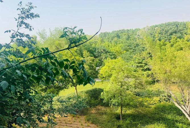 16092501 - Property Image 3