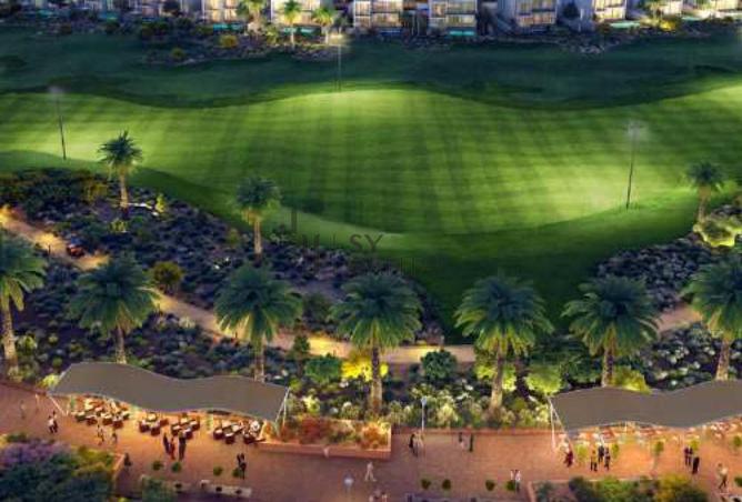 15586554 - Property Image 3