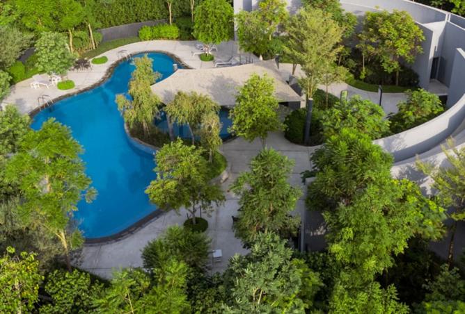 15717595 - Property Image 3