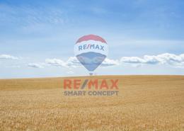 Land for sale in Madinat Zayed - Abu Dhabi