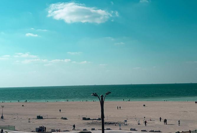 16106323 - Property Image 3