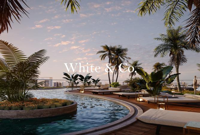 15800023 - Property Image 2