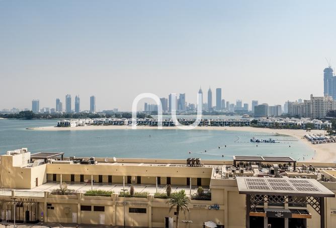 15592808 - صورة العقار 3