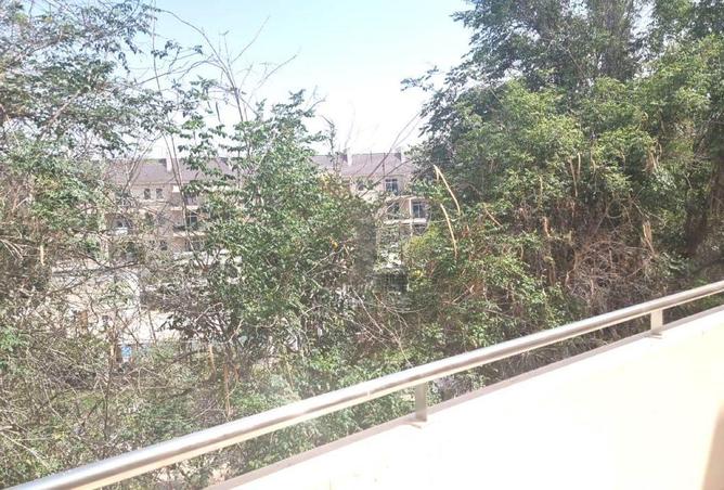 15692617 - صورة العقار 3