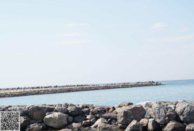 15366733 - Property Image 3