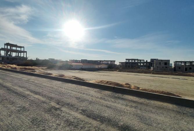 15964977 - صورة العقار 3