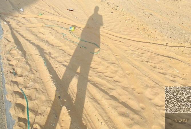 15977109 - صورة العقار 3