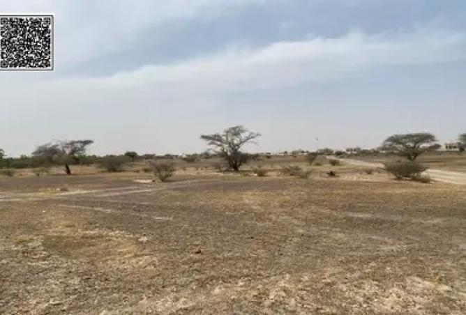 15778133 - Property Image 3