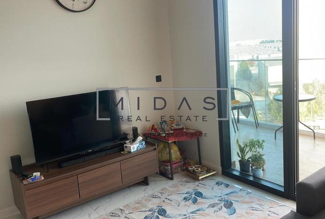 16065443 - Property Image 3