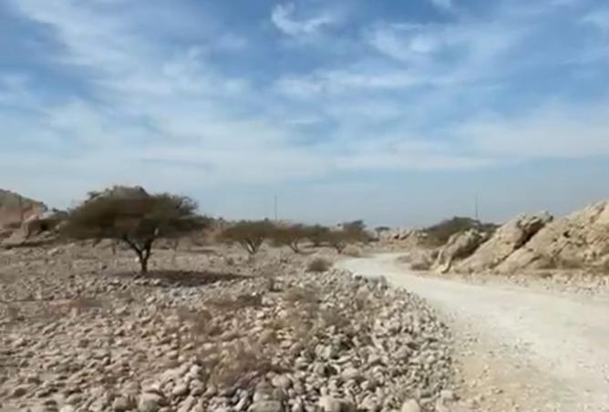 15891263 - صورة العقار 3