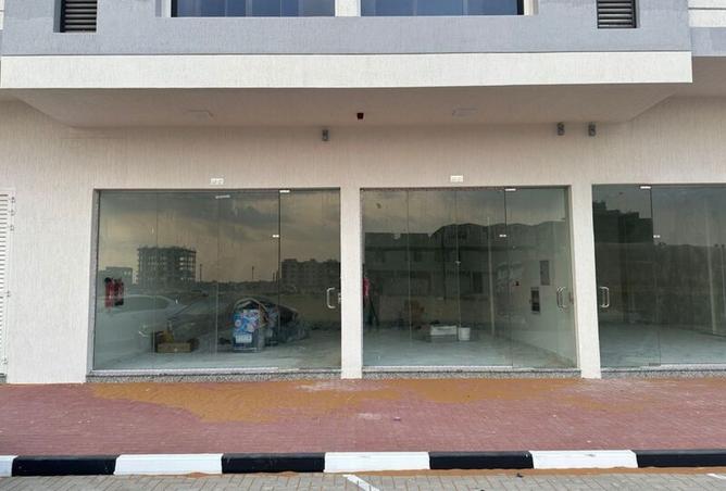 15310856 - Property Image 3
